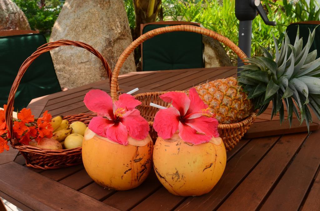 Villa Kordia Pointe Au Sel Extérieur photo