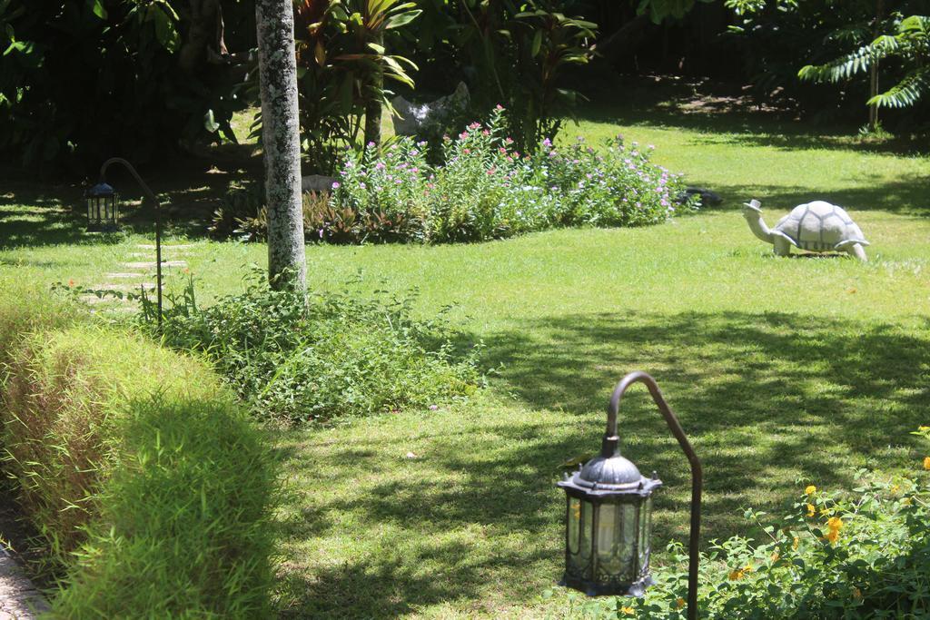 Villa Kordia Pointe Au Sel Extérieur photo